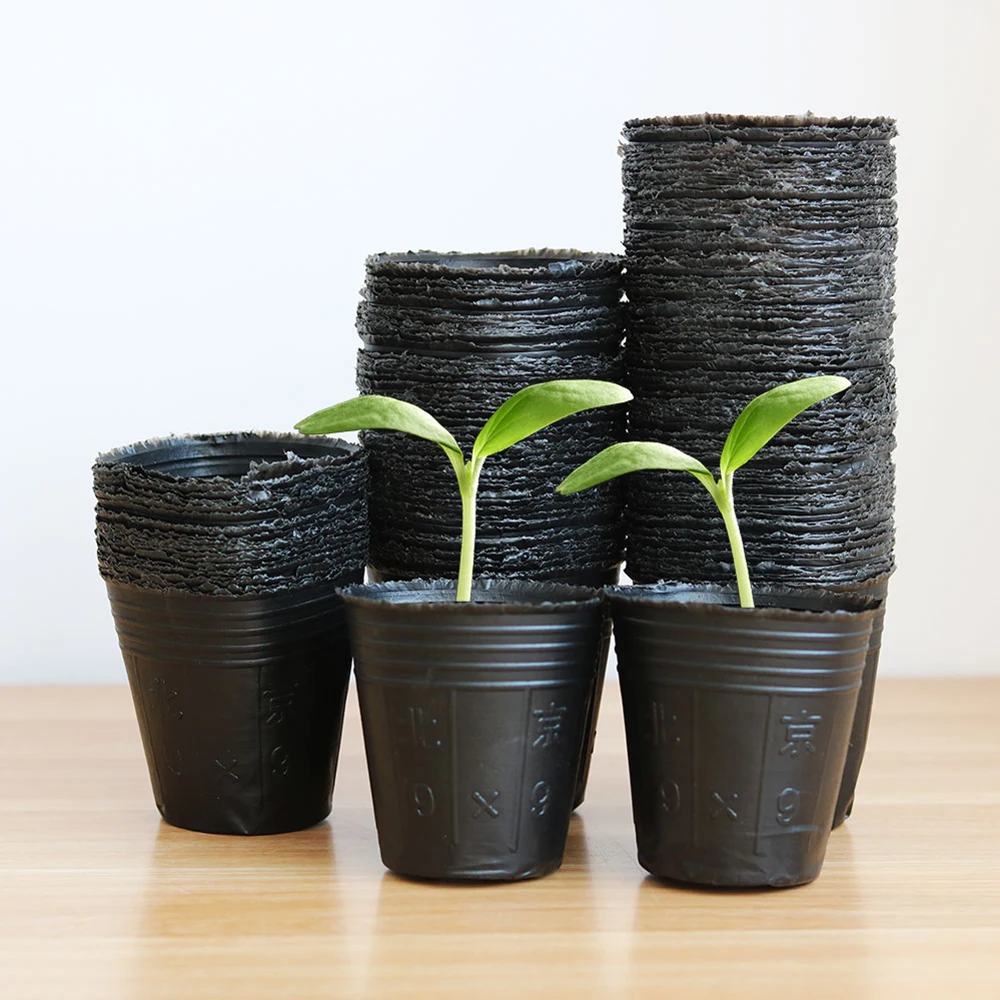 Nursery Seedlings Flowers Black Garden Plastic Pp Pot Plants Horticultural Planting Tool Applicable To Garden Planting Seedlings
Nursery Seedlings Flowers Black Garden Plastic Pp Pot Plants Horticultural Planting Tool Applicable To Garden Planting Seedlings