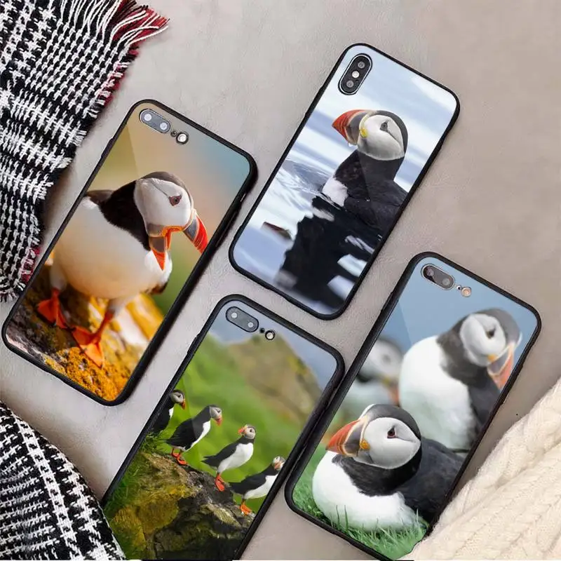 Puffin Animal cute Phone Case Tempered glass For iphone 6 7 8 plus X XS XR 11 12 13 PRO MAX mini
Puffin Animal cute Phone Case Tempered glass For iphone 6 7 8 plus X XS XR 11 12 13 PRO MAX mini