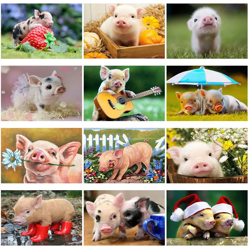 DIY 5D Diamond Painting Pig Diamond Embroidery Full Round Drill Animal Cross Stitch Resin Mosaic Rhinestones Manual Home Decor
DIY 5D Diamond Painting Pig Diamond Embroidery Full Round Drill Animal Cross Stitch Resin Mosaic Rhinestones Manual Home Decor