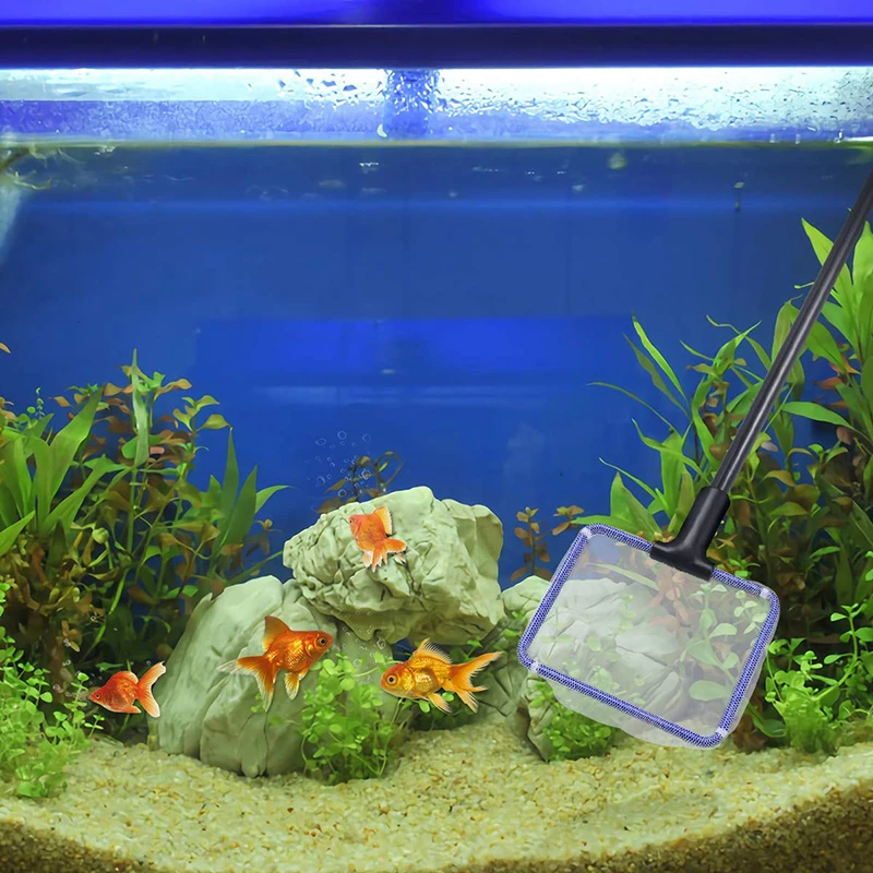 5 in 1 Aquarium Cleaning Tools Aquarium Tank Clean Set Fish Net Gravel Rake Algae Scraper Fork Sponge Brush Glass Cleaner NEW
5 in 1 Aquarium Cleaning Tools Aquarium Tank Clean Set Fish Net Gravel Rake Algae Scraper Fork Sponge Brush Glass Cleaner NEW