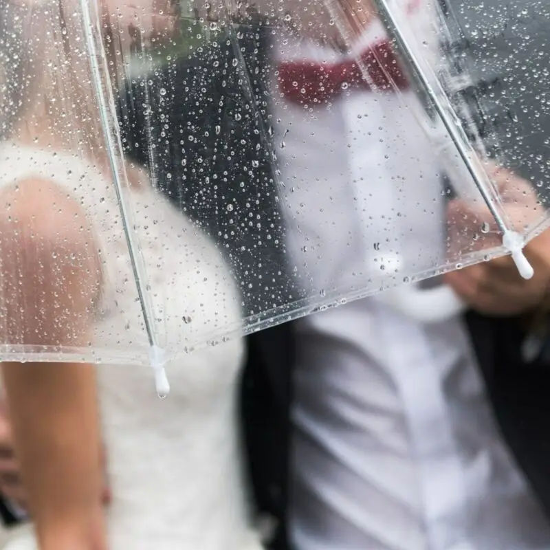 High quality lightweight transparent wedding bubble umbrella, transparent umbrella, decoration
High quality lightweight transparent wedding bubble umbrella, transparent umbrella, decoration