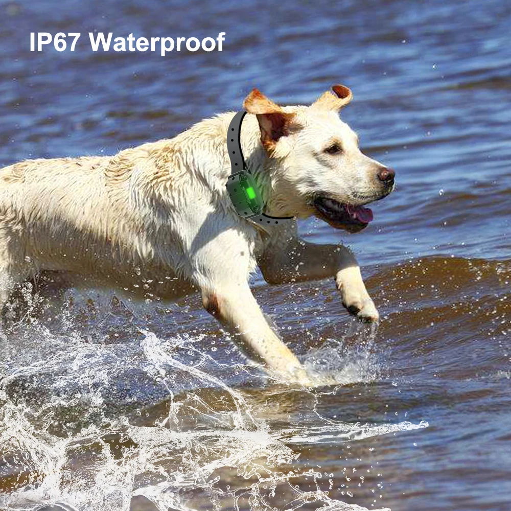 Waterproof IP67 Dog Training Collar 800M Pet Remote Control Rechargeable Electric Training Collar With Shock Vibration Sound
Waterproof IP67 Dog Training Collar 800M Pet Remote Control Rechargeable Electric Training Collar With Shock Vibration Sound