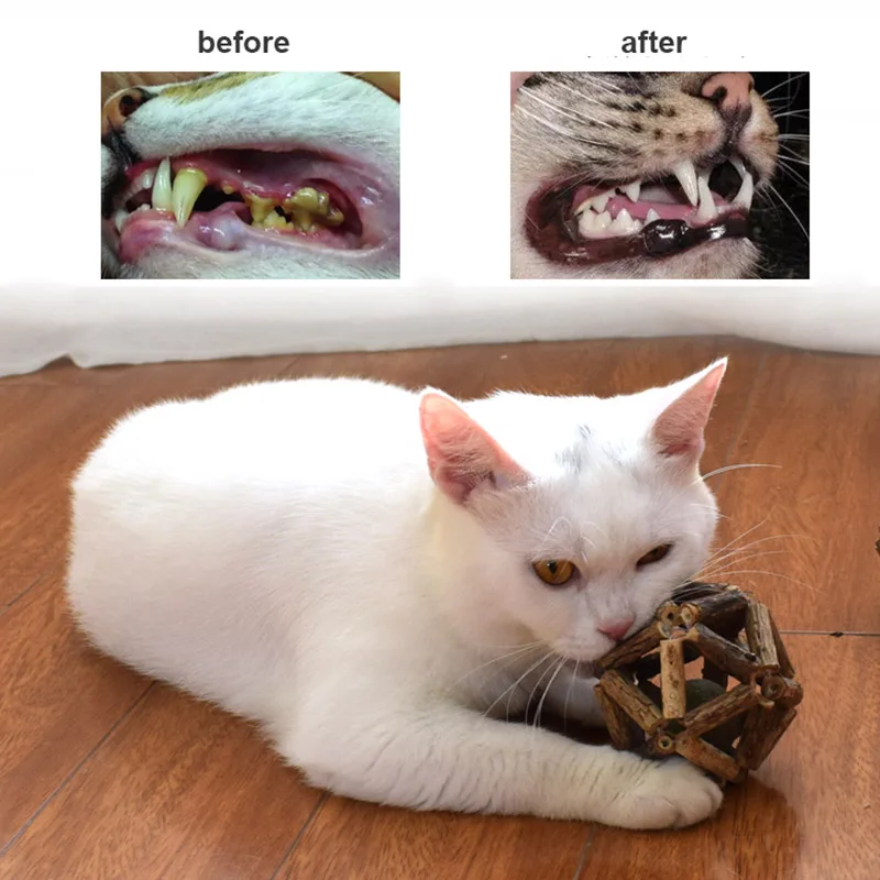 Cat Molar Stick Chewing Interactive Toy Clean Teeth Remove Tartar Natural Polygonum Grind Teeth Catnip Ball Toys Emetic Hairs
Cat Molar Stick Chewing Interactive Toy Clean Teeth Remove Tartar Natural Polygonum Grind Teeth Catnip Ball Toys Emetic Hairs
