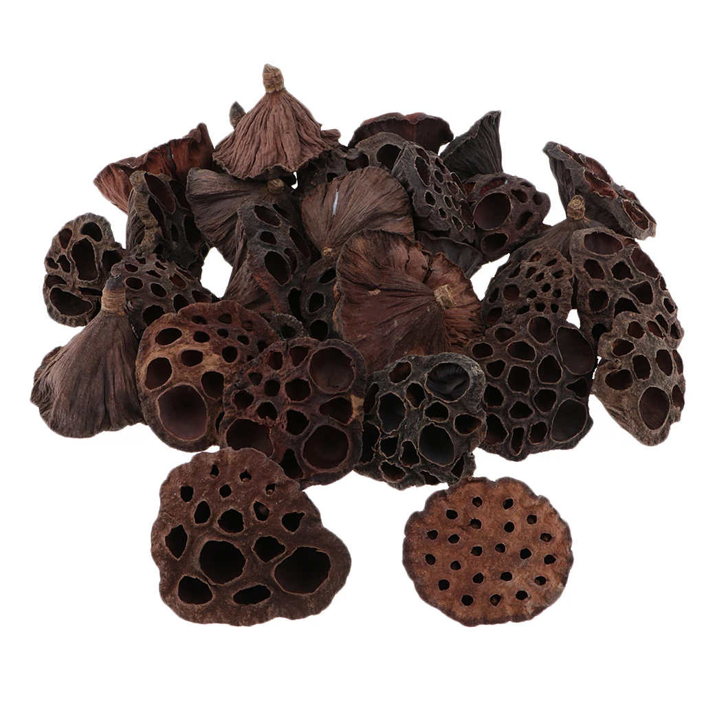 30Pcs Natural Dried Lotus Pod Flowers Fruit for Floral Decoration Crafts DIY Home Flower Shops Coffee Bar Supplies
30Pcs Natural Dried Lotus Pod Flowers Fruit for Floral Decoration Crafts DIY Home Flower Shops Coffee Bar Supplies