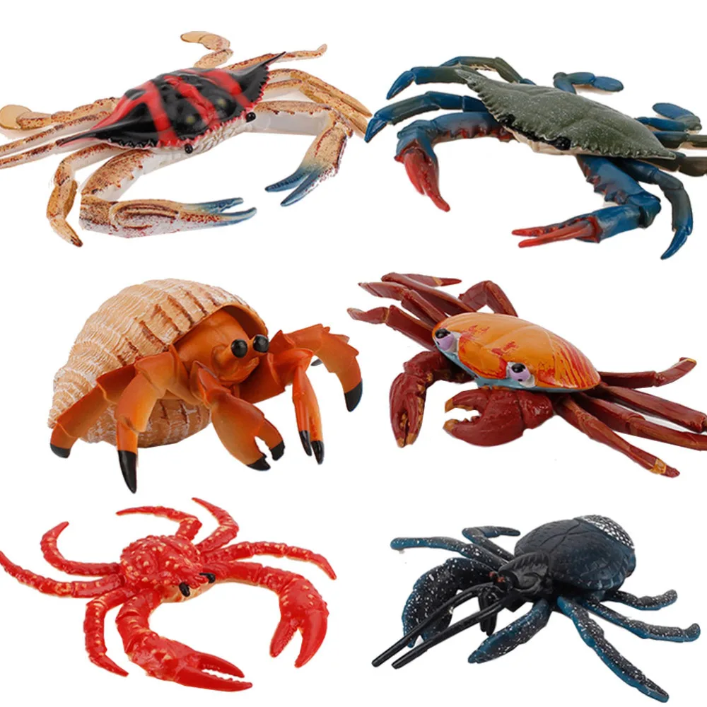 6Pcs Simulation Marine animals Model Children's Educational Toys for Learning
6Pcs Simulation Marine animals Model Children's Educational Toys for Learning