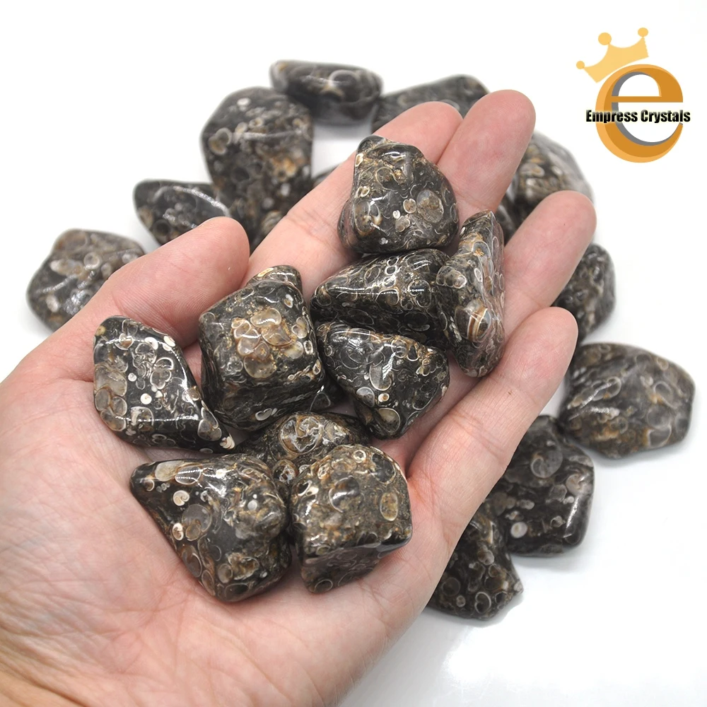 

Natural Turitella Agate Crystal Tumbled Bulk Healing Mineral Specime Gemstones Gem Raw Aquarium Decoration