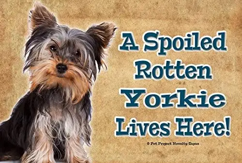 Terrier Yorkie - A Spoiled Rotten Dog Lives Here... Realistic Pet Image 9x6 Ships from Ontario, Canada.
Terrier Yorkie - A Spoiled Rotten Dog Lives Here... Realistic Pet Image 9x6 Ships from Ontario, Canada.