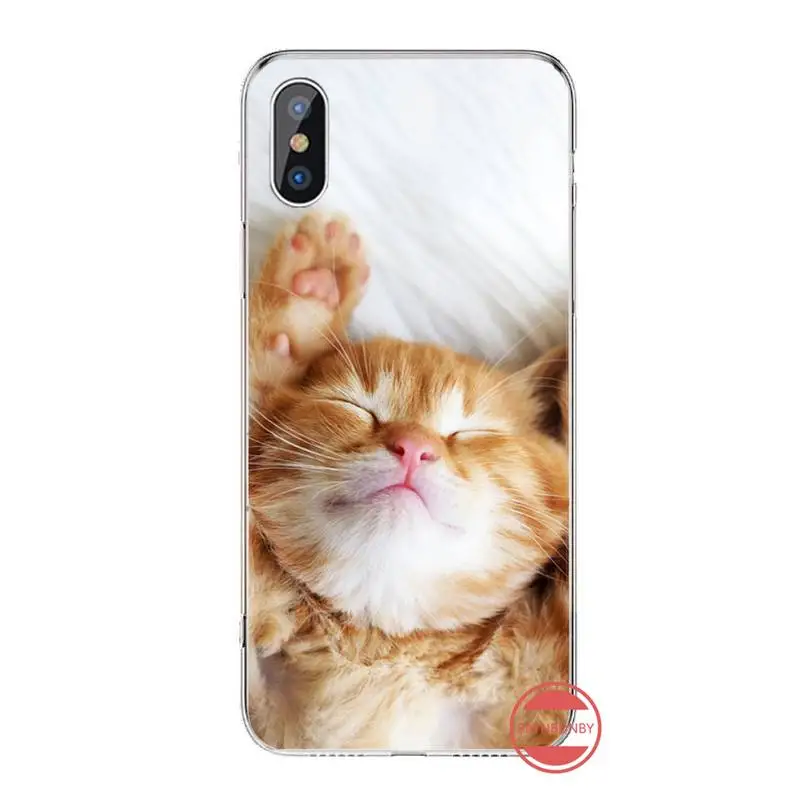 cat funny cute animal pattern Phone Case For iphone 12 5 5s 5c se 6 6s 7 8 plus x xs xr 11 pro max mini luxury shell cover funda
cat funny cute animal pattern Phone Case For iphone 12 5 5s 5c se 6 6s 7 8 plus x xs xr 11 pro max mini luxury shell cover funda