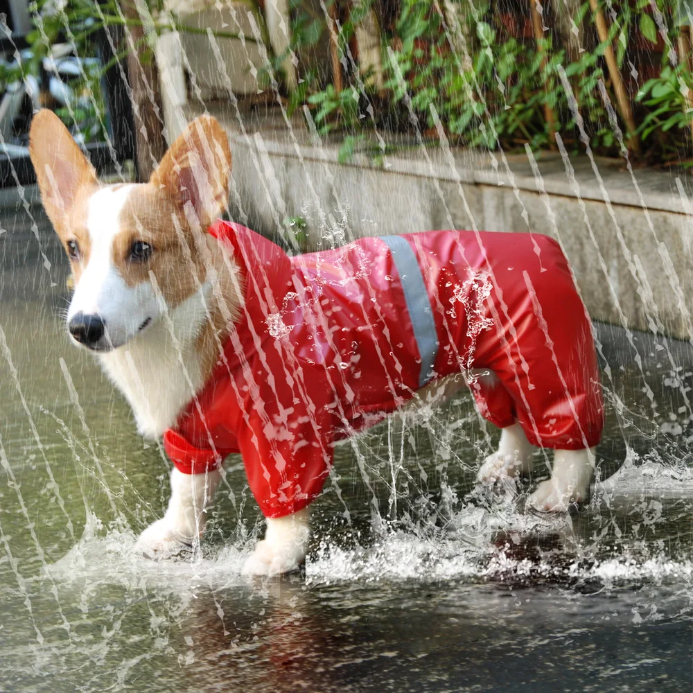 2021 Pet Dog Waterproof Raincoat Jumpsuit Reflective Rain Coat Sunscreen Dog Outdoor Clothes Jacket for Small Dog Pet Supplies
2021 Pet Dog Waterproof Raincoat Jumpsuit Reflective Rain Coat Sunscreen Dog Outdoor Clothes Jacket for Small Dog Pet Supplies