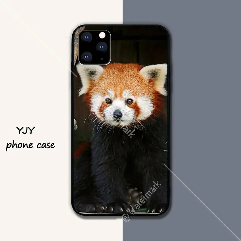 Ailurus fulgens cute Silicone black case coque for iphone se 2020 6 6s 7 8 plus x xs max xr 11 12 pro max cover
Ailurus fulgens cute Silicone black case coque for iphone se 2020 6 6s 7 8 plus x xs max xr 11 12 pro max cover
