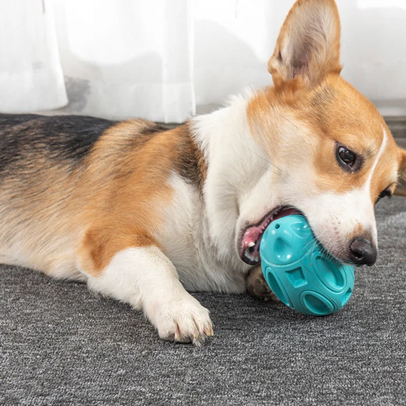 Жевательные игрушки для собак, прочный регби-мяч с пищалкой, резиновая игрушка для чистки зубов домашних животных для маленьких, средних и б...
Жевательные игрушки для собак, прочный регби-мяч с пищалкой, резиновая игрушка для чистки зубов домашних животных для маленьких, средних и б...