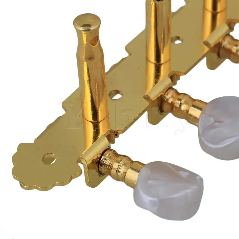 Yibuy Gold 2 PCS 1L1R Little Mica Head Mandonlin Tuning Pegs Mandolin Machine Head
Yibuy Gold 2 PCS 1L1R Little Mica Head Mandonlin Tuning Pegs Mandolin Machine Head