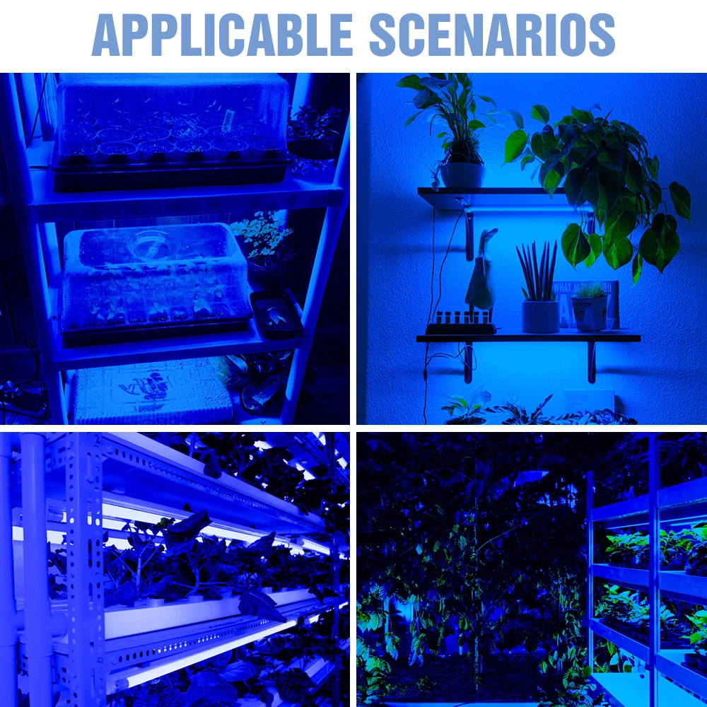 USB Plant Grow Lights 0.5m 1m 2m 3m Waterproof Full Spectrum LED Strip Flower Phyto Lamp LED Greenhouse Growth Box Hydroponic
USB Plant Grow Lights 0.5m 1m 2m 3m Waterproof Full Spectrum LED Strip Flower Phyto Lamp LED Greenhouse Growth Box Hydroponic