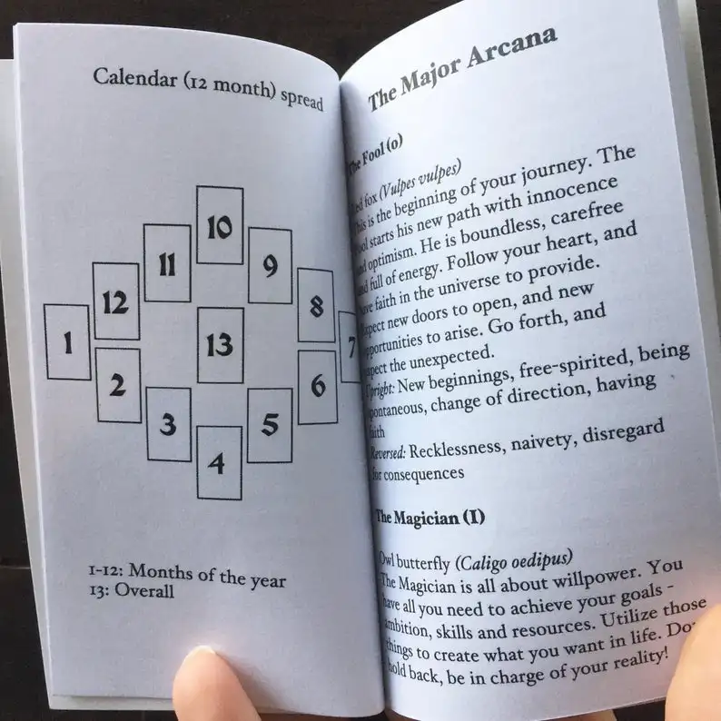 Anima Mundi Tarot Deck 78 Card Deck with Guide Book Nature Deck Occult Divination Cards Tarot Deck Party Game Board Games
Anima Mundi Tarot Deck 78 Card Deck with Guide Book Nature Deck Occult Divination Cards Tarot Deck Party Game Board Games