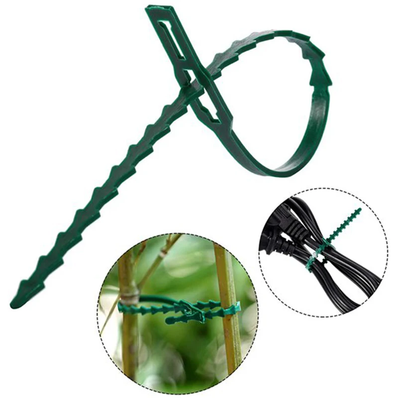 Adjustable Plastic Plant Cable Ties Reusable Cable Ties for Garden Tree Climbing Support Plant Vine Tomato Stem Clip
Adjustable Plastic Plant Cable Ties Reusable Cable Ties for Garden Tree Climbing Support Plant Vine Tomato Stem Clip