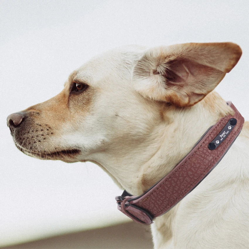Personalized dog collar adjustable soft leather custom dog collar cat carving dog tag ID label large dog pet accessories
Personalized dog collar adjustable soft leather custom dog collar cat carving dog tag ID label large dog pet accessories