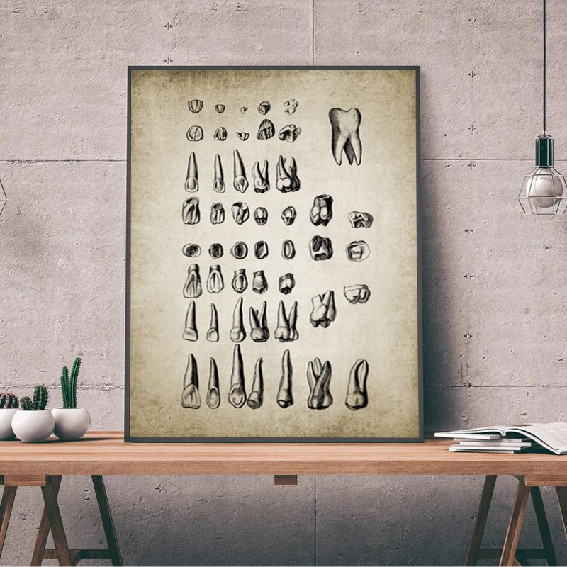 Vintage Human Teeth Medical Poster Dental Clinic Wall Art Decor Human Dental Anatomy Painting Picture Educational Prints Canvas 
Vintage Human Teeth Medical Poster Dental Clinic Wall Art Decor Human Dental Anatomy Painting Picture Educational Prints Canvas