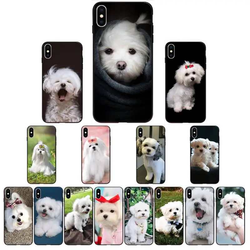 Maltese Dog Puppy Phone Case for iPhone 13 11 12 pro XS MAX 8 7 6 6S Plus X 5S SE 2020 XR cover
Maltese Dog Puppy Phone Case for iPhone 13 11 12 pro XS MAX 8 7 6 6S Plus X 5S SE 2020 XR cover