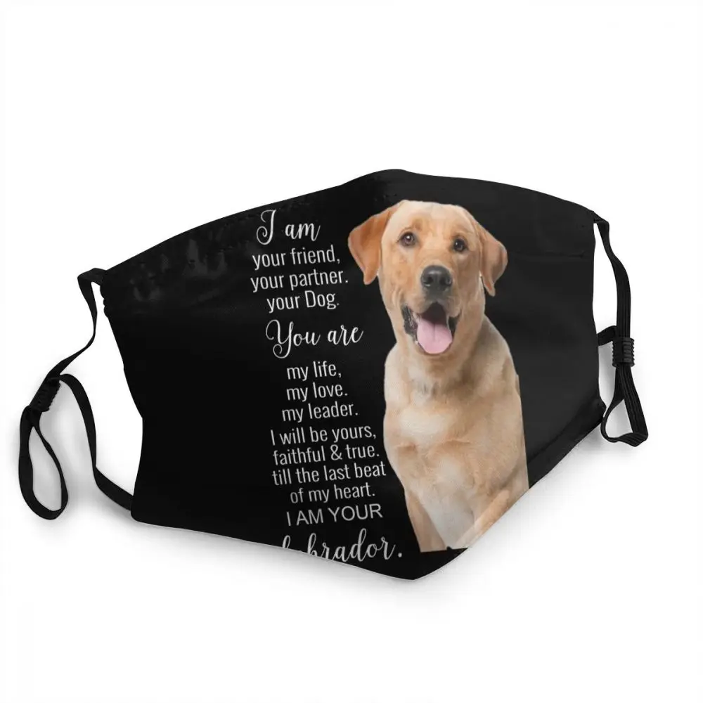 Labrador Retriever Reusable Adult Mouth Face Mask Funny Pet Dog Anti Dust Mask Protection Cover Respirator Mouth Muffle
Labrador Retriever Reusable Adult Mouth Face Mask Funny Pet Dog Anti Dust Mask Protection Cover Respirator Mouth Muffle