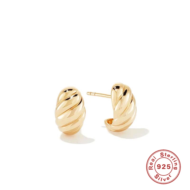 Sterling Silver Piercing Earrings for Women 2021 Twist Pendientes Plata Stud Earing Girl Fine Jewelry Gifts Brincos
Sterling Silver Piercing Earrings for Women 2021 Twist Pendientes Plata Stud Earing Girl Fine Jewelry Gifts Brincos
