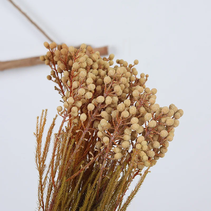 Immortal Coral Fruit Small Football Eternal Flowers Christmas/Wedding/Birthday/Party/Home Decoration Material Photography Props
Immortal Coral Fruit Small Football Eternal Flowers Christmas/Wedding/Birthday/Party/Home Decoration Material Photography Props