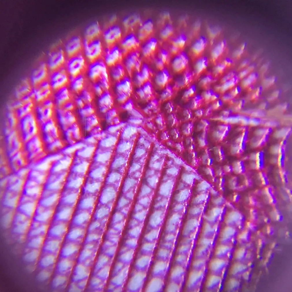 60x