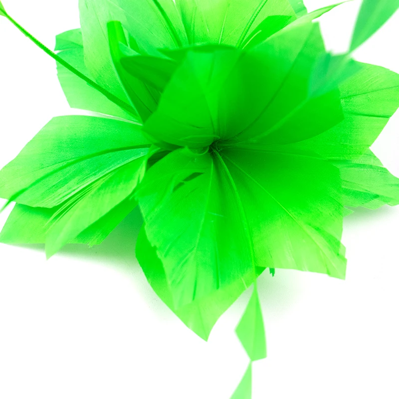 1Pcs High Quality Green Goose Feathers Corsage DIY Wedding Headdress Decoration Carnival Clothes Accessories Color Plumes Crafts
1Pcs High Quality Green Goose Feathers Corsage DIY Wedding Headdress Decoration Carnival Clothes Accessories Color Plumes Crafts
