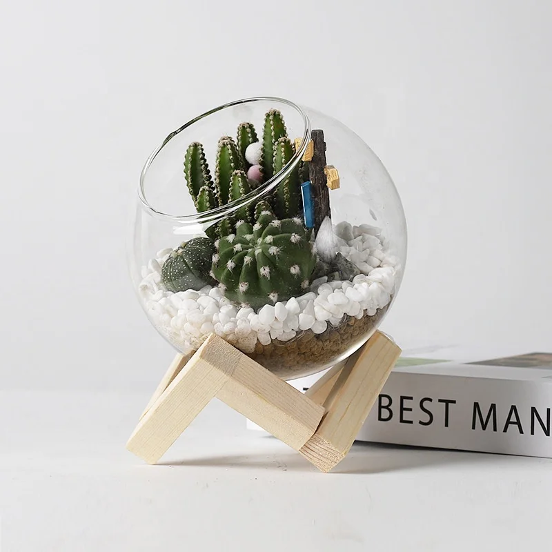 Succulent glass flowerpot log stand ecological bottle micro landscape creative lovely INS Foreign Trade
Succulent glass flowerpot log stand ecological bottle micro landscape creative lovely INS Foreign Trade