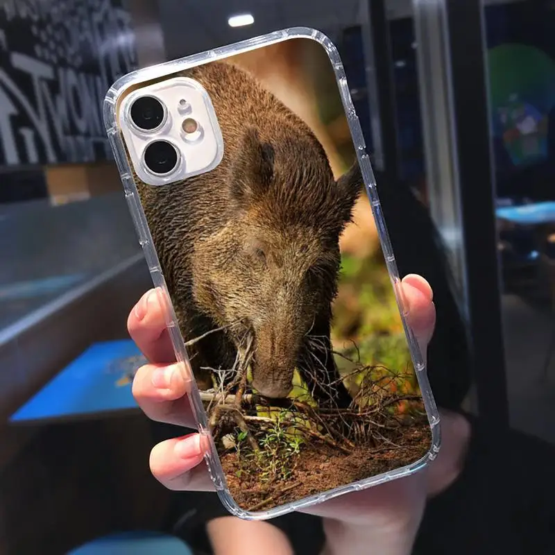 Wild boar animals are ferocious Phone Case Transparent soft For iphone 5 5s 5c se 6 6s 7 8 11 12 plus mini x xs xr pro max 
Wild boar animals are ferocious Phone Case Transparent soft For iphone 5 5s 5c se 6 6s 7 8 11 12 plus mini x xs xr pro max