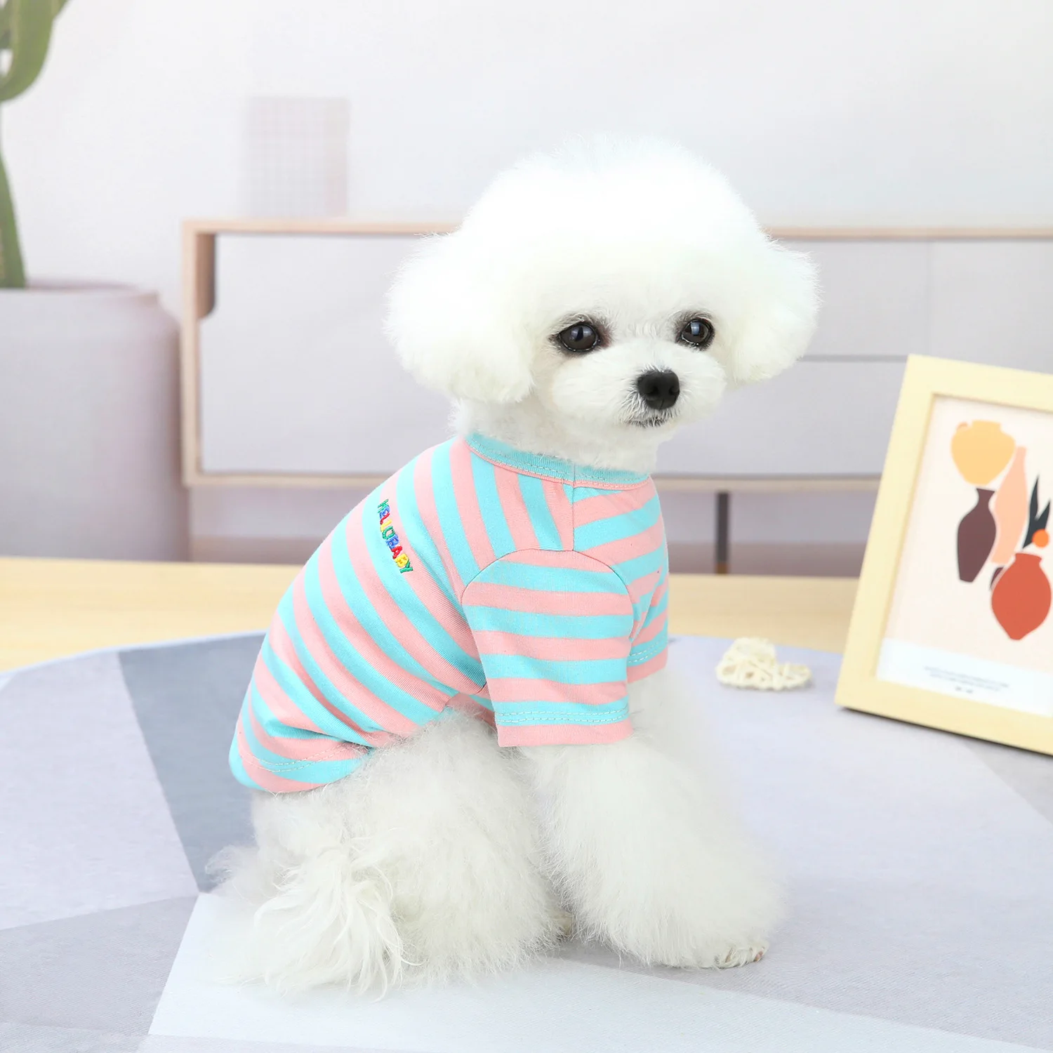 Dog Clothes For Small Dogs Clothing Pet Coat Jacket Spring Clothes For Dog Coat Vest Puppy Yorkies Chihuahua Clothes
Dog Clothes For Small Dogs Clothing Pet Coat Jacket Spring Clothes For Dog Coat Vest Puppy Yorkies Chihuahua Clothes