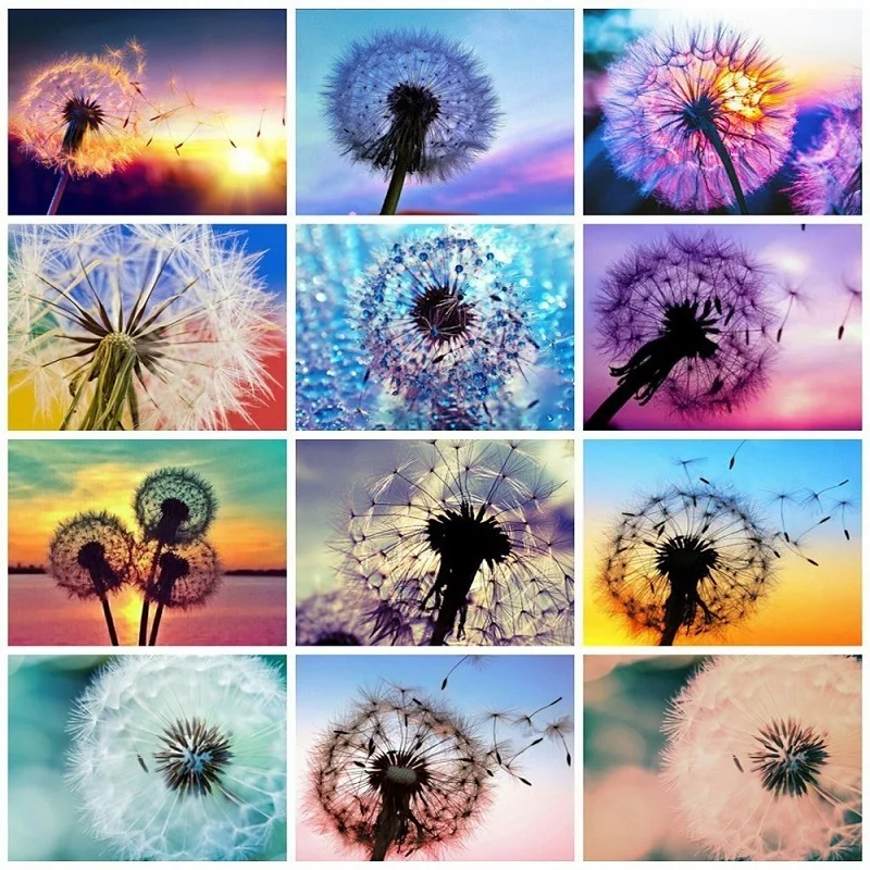 

SHAYI DIY 5D Diamond Painting Dandelion Sunset Scenery Mosaic Embroidery Cross Stitch Full Square/Round Drill Home Decor Picture