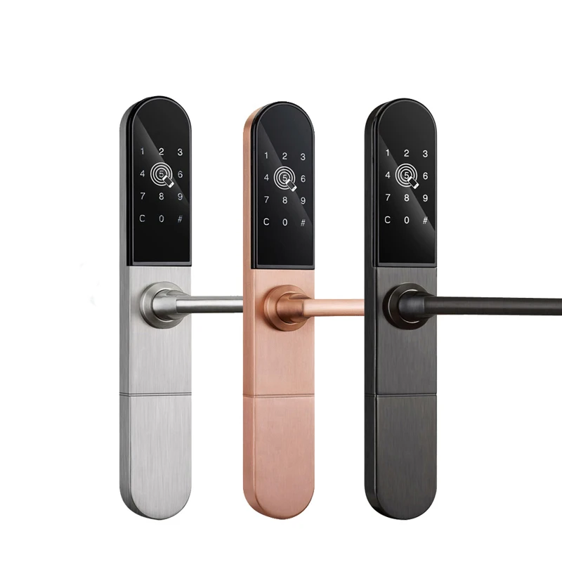 Smart Biometric Recognition Card Door Lock Digital Aluminum Door Lock For Hotel/ Apartments Sliding Door XM-C878
Smart Biometric Recognition Card Door Lock Digital Aluminum Door Lock For Hotel/ Apartments Sliding Door XM-C878