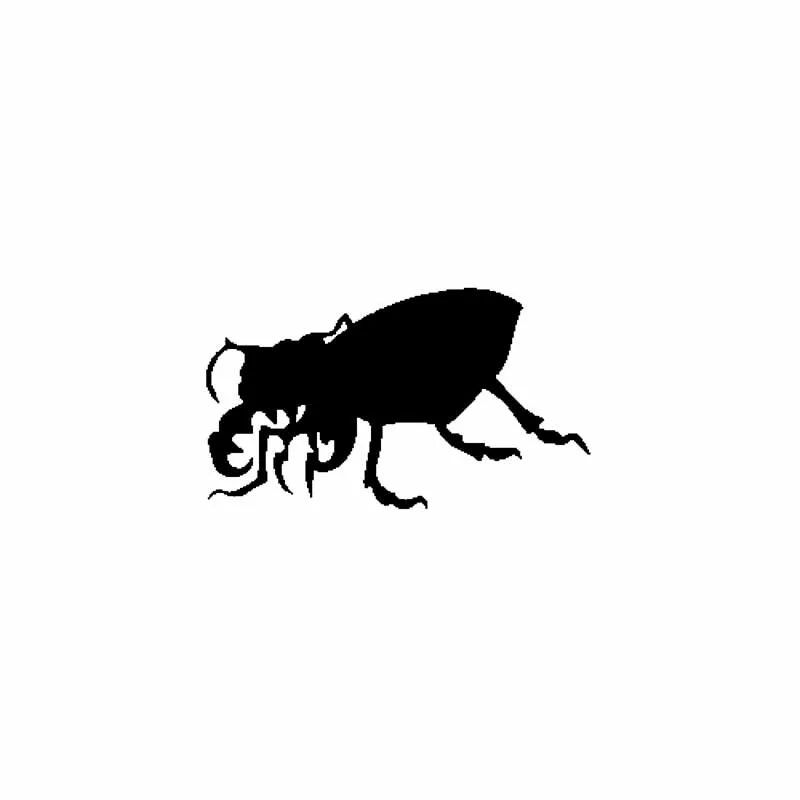 Creative Lovely Bug Insect Interesting Vinyl Decal Car Sticker Black/Silver PVC17x10cm
Creative Lovely Bug Insect Interesting Vinyl Decal Car Sticker Black/Silver PVC17x10cm