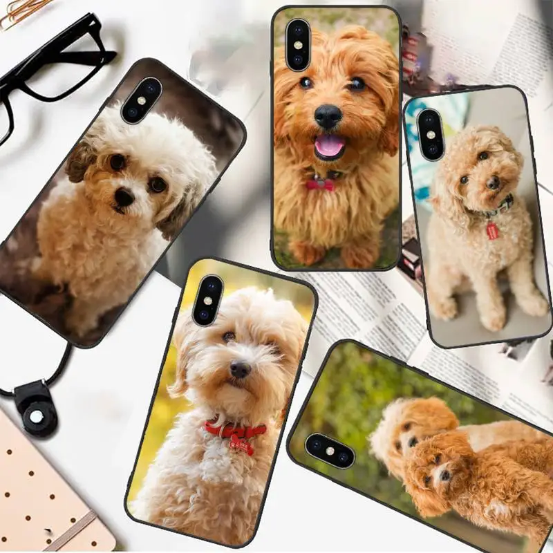 Teddy bear dog cute animal Phone Case For iphone 12 11 13 7 8 6 s plus x xs xr pro max mini
Teddy bear dog cute animal Phone Case For iphone 12 11 13 7 8 6 s plus x xs xr pro max mini