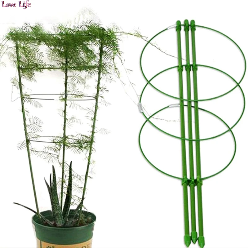 60cm Durable Creative Vine Climbing Rack Flower Decorative Gardening Tools Vegetables Plant Trellis Plant Support Frame
60cm Durable Creative Vine Climbing Rack Flower Decorative Gardening Tools Vegetables Plant Trellis Plant Support Frame