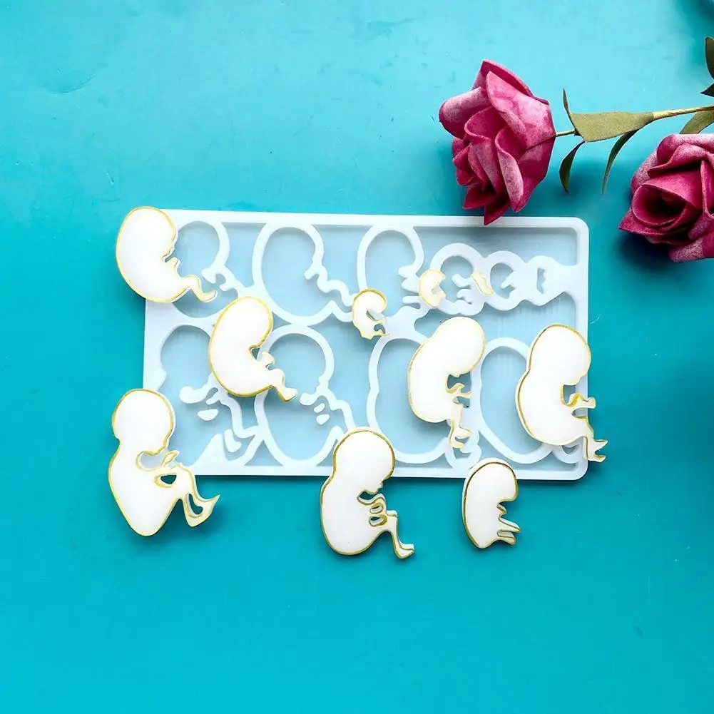 Fetus Development in October Growth Epoxy Resin Mold Silicone Mould DIY Crafts Jewelry Casting Mold
Fetus Development in October Growth Epoxy Resin Mold Silicone Mould DIY Crafts Jewelry Casting Mold