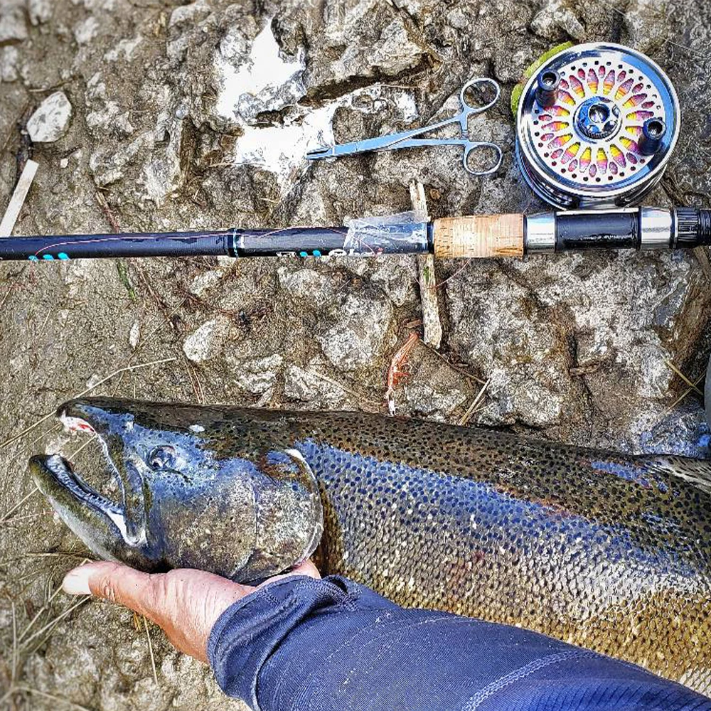 Obei Feeder FIshing Rod Telescopic Spinning Casting Travel Rod3.0 3.3 3.6m Vara De Pesca Carp Feeder 60-180g Pole
Obei Feeder FIshing Rod Telescopic Spinning Casting Travel Rod3.0 3.3 3.6m Vara De Pesca Carp Feeder 60-180g Pole