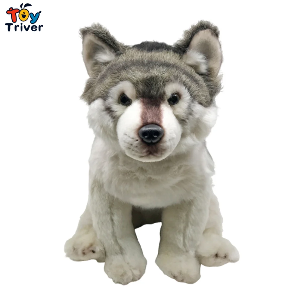 Realistic Dog Husky Puppy Grey Wolf Plush Toys Stuffed Animals Doll Baby Kids Children Boys Birthday Gift Home Room Decor Crafts
Realistic Dog Husky Puppy Grey Wolf Plush Toys Stuffed Animals Doll Baby Kids Children Boys Birthday Gift Home Room Decor Crafts