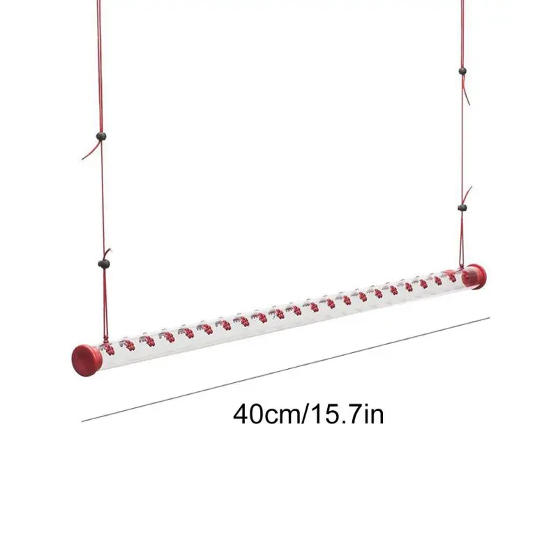 Hanging Long Tube Hummingbird Feeder Easy Clean Outdoor Hummingbird Feeder Terrace Garden (30cm/40cm 50cm)
Hanging Long Tube Hummingbird Feeder Easy Clean Outdoor Hummingbird Feeder Terrace Garden (30cm/40cm 50cm)
