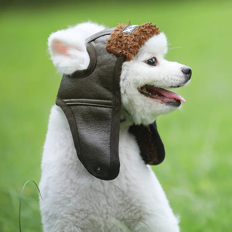 Funny Autumn Winter Cute Pet Cap Costume Cosplay Windproof Pilot Hat for Small Medium Large Dogs S-XXL
Funny Autumn Winter Cute Pet Cap Costume Cosplay Windproof Pilot Hat for Small Medium Large Dogs S-XXL