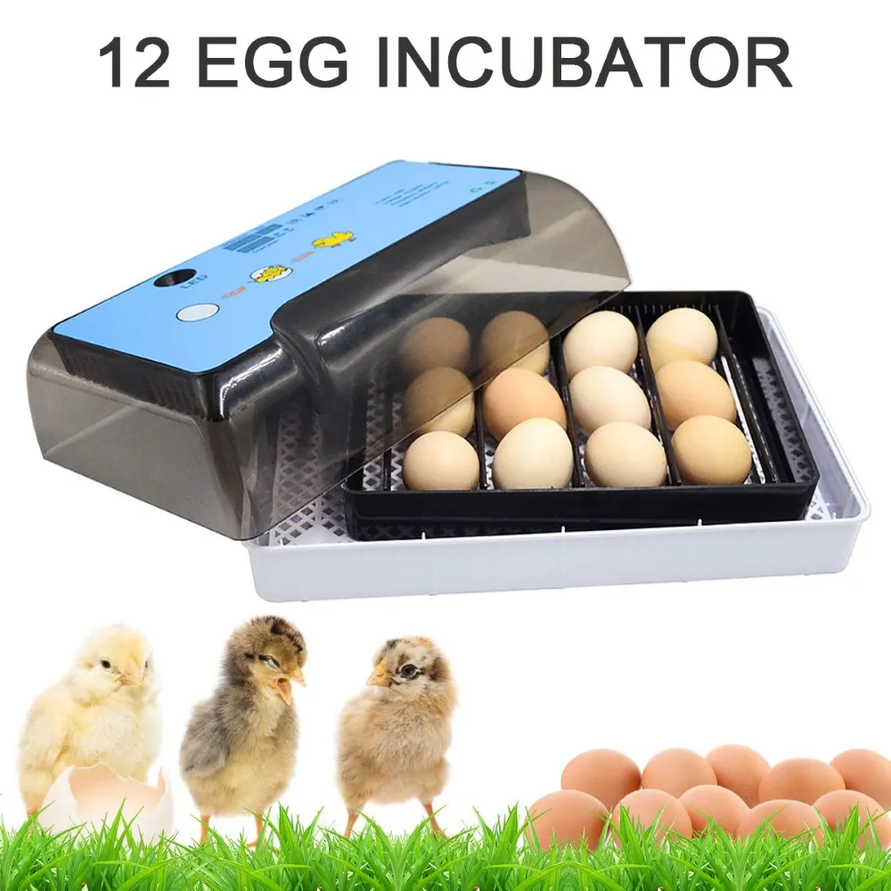 Egg Incubator Automatic Incubator Farm Chick Hatchery Machine 12 Egg Incubator Digital Temperature Control Mini Poultry Hatcher
Egg Incubator Automatic Incubator Farm Chick Hatchery Machine 12 Egg Incubator Digital Temperature Control Mini Poultry Hatcher