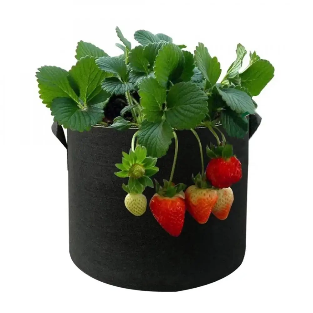 1@# 3Pcs 3/5/7 Gallon Felt Grow Bag Gardening Fabric Pot Vegetable Growing Planter Eco-Friendly Flower Planting Pots Garden
1@# 3Pcs 3/5/7 Gallon Felt Grow Bag Gardening Fabric Pot Vegetable Growing Planter Eco-Friendly Flower Planting Pots Garden