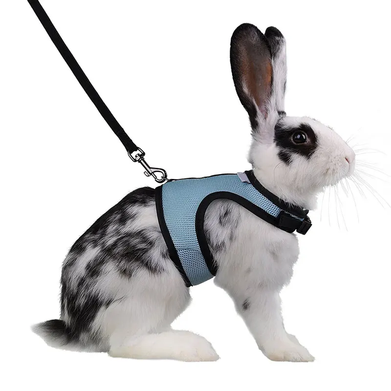 Фото Симпатичный Хомяк кролик поводок для домашних животных со свинцовым набором