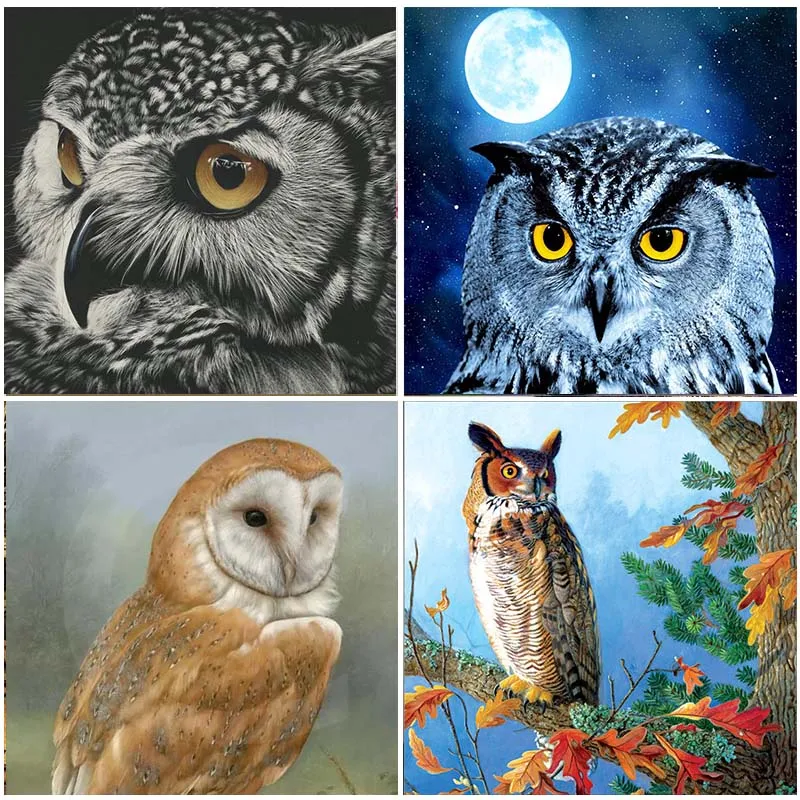 Животное сова вышивка 5D наборы для алмазной живописи искусство смола полный квадратный дрель Украшение Дома Мозаика Полный Круглый Вышивк...
Животное сова вышивка 5D наборы для алмазной живописи искусство смола полный квадратный дрель Украшение Дома Мозаика Полный Круглый Вышивк...