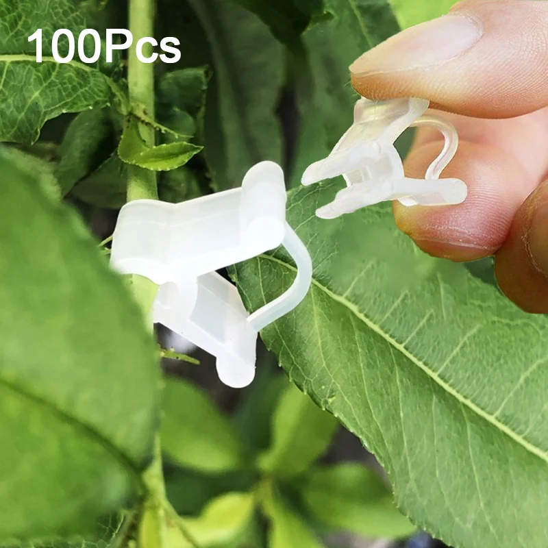 100pcs/set Garden Grafting Clips Plastic Transparent Vegetable Flower Plants Grafting Clips Gardening Ornaments Tools
100pcs/set Garden Grafting Clips Plastic Transparent Vegetable Flower Plants Grafting Clips Gardening Ornaments Tools