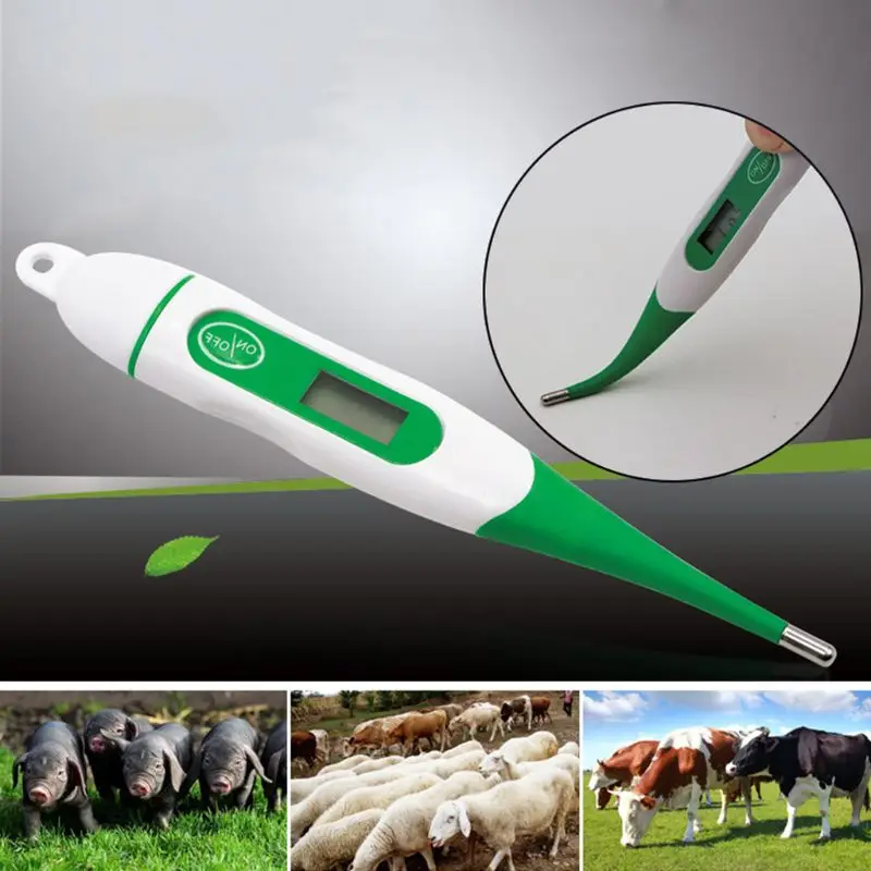 Pet Digital Thermometer for Accurate Detection Suitable for Cats Dogs Waterproof Drop Ship
Pet Digital Thermometer for Accurate Detection Suitable for Cats Dogs Waterproof Drop Ship