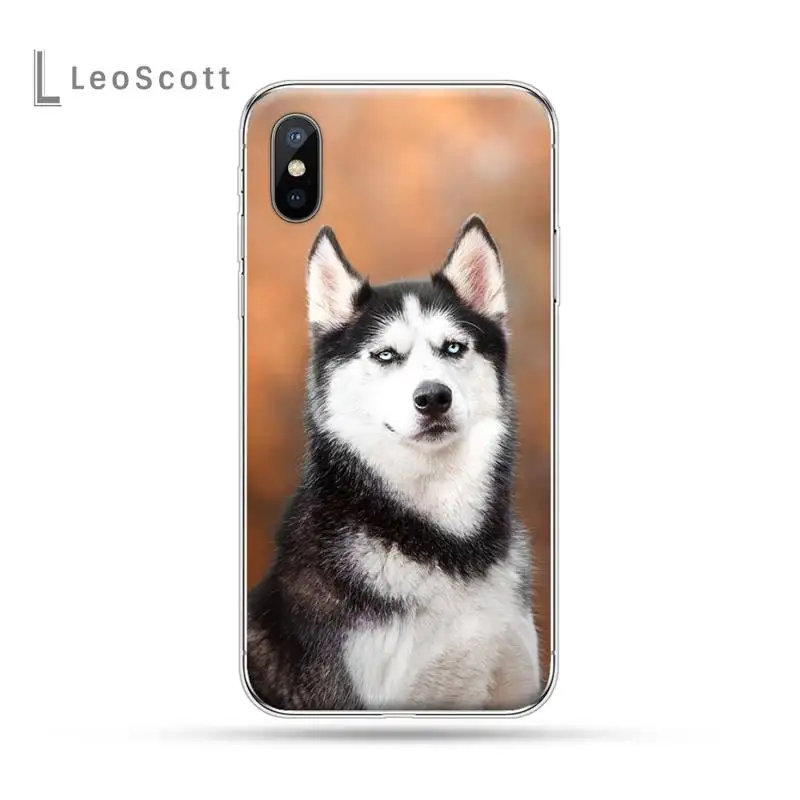 husky dog animal universal Phone Case For iphone 12 5 5s 5c se 6 6s 7 8 plus x xs xr 11 pro max 
husky dog animal universal Phone Case For iphone 12 5 5s 5c se 6 6s 7 8 plus x xs xr 11 pro max