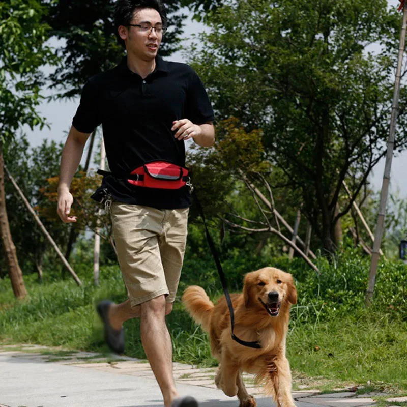 Эластичный поводок для собак и кошек 
Эластичный поводок для собак и кошек