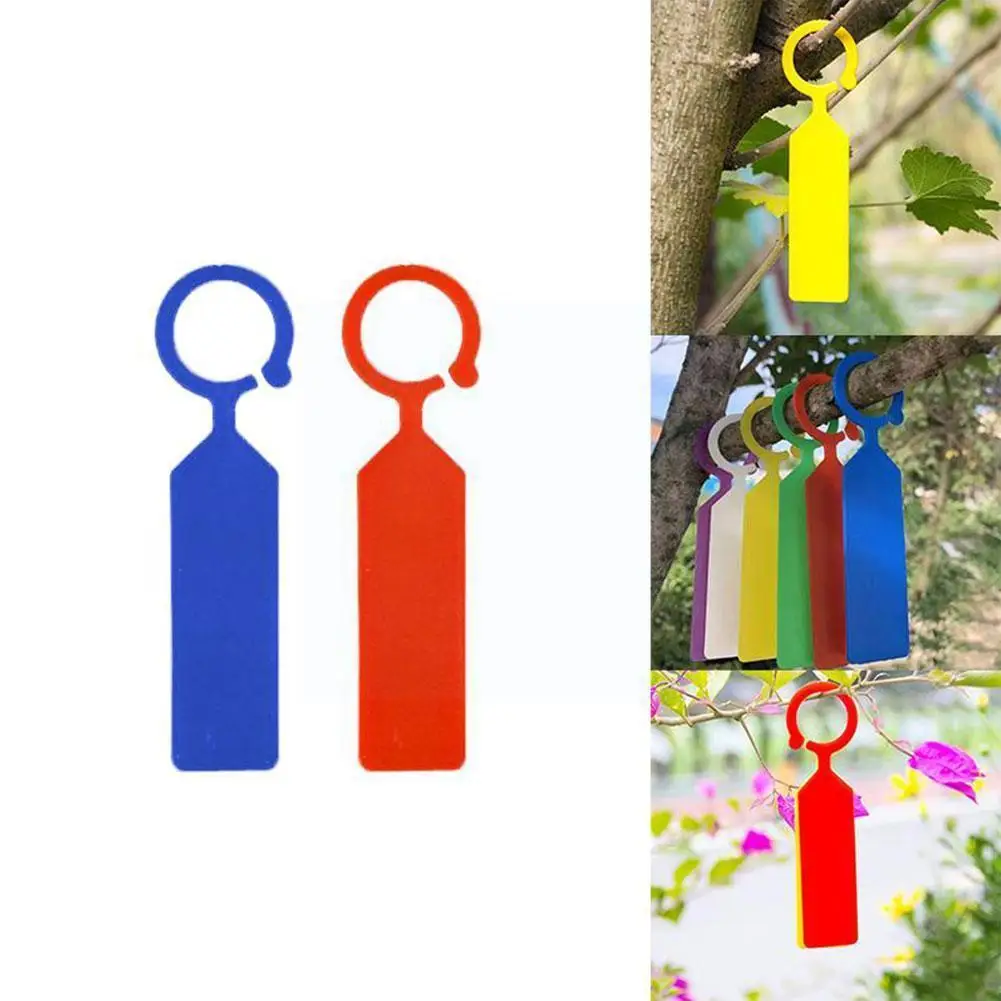 50 Pcs Waterproof Plastic Plants Tag Nursery Garden Markers Pots Greenhouse Tags Label Hanging Stake Collars Tags Bonsai Ri P2p6
50 Pcs Waterproof Plastic Plants Tag Nursery Garden Markers Pots Greenhouse Tags Label Hanging Stake Collars Tags Bonsai Ri P2p6