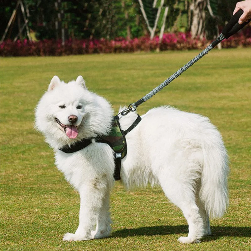 Dog Leash High Elasticity Retractable Sturdy and Durable Cushioning Outdoor Dog Leash Nylon Easy To Clean Pet Supplies
Dog Leash High Elasticity Retractable Sturdy and Durable Cushioning Outdoor Dog Leash Nylon Easy To Clean Pet Supplies